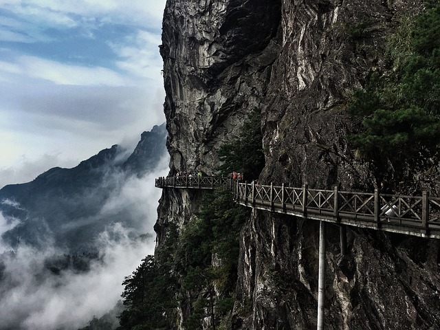 Image by deshitha kadiragonna from Pixabay