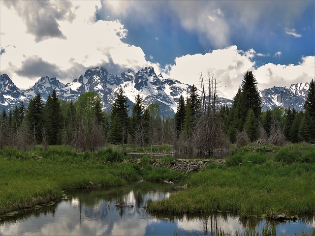 Image by GeorgeB2 from Pixabay