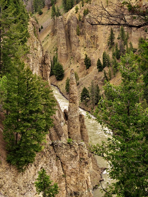 Image by GeorgeB2 from Pixabay