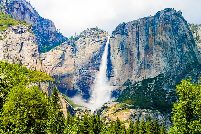Image by Egor Shitikov from Pixabay