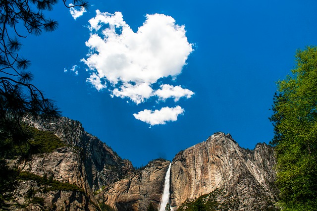 Image by Egor Shitikov from Pixabay