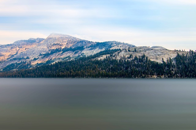 Image by MaxWaidhas from Pixabay