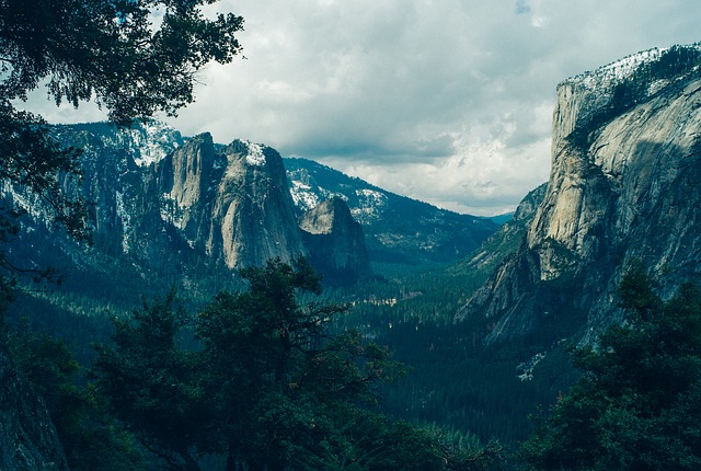 Image by fancycrave1 from Pixabay