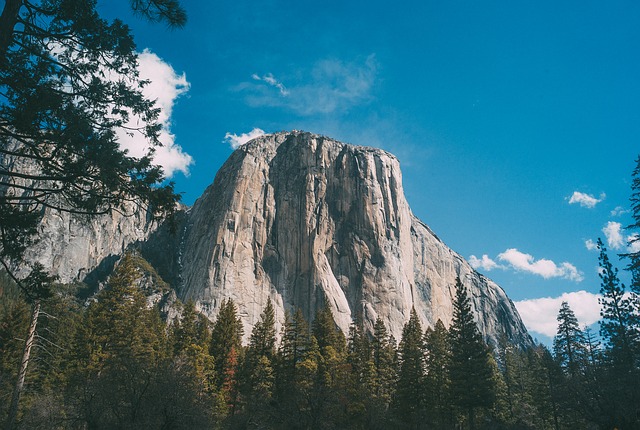 Image by fancycrave1 from Pixabay