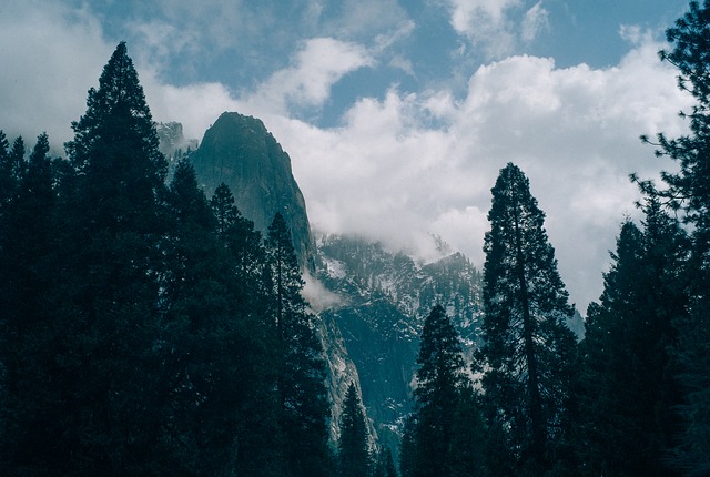 Image by fancycrave1 from Pixabay