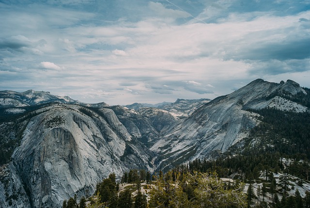 Image by fancycrave1 from Pixabay