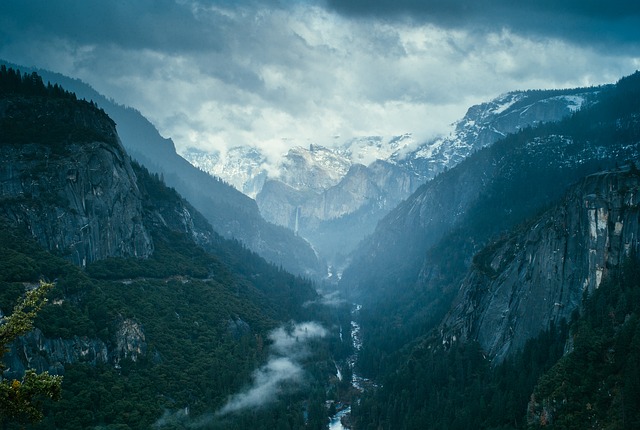 Image by fancycrave1 from Pixabay