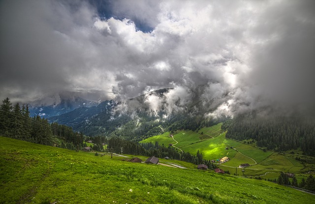 Image by Evgeni Tcherkasski from Pixabay