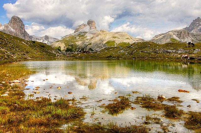 Image by kordula vahle from Pixabay
