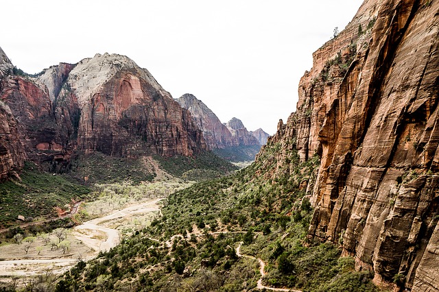 Image by Drew Tadd from Pixabay