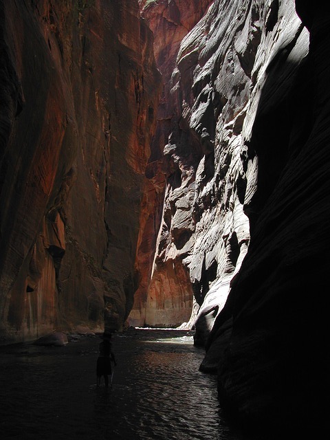 Image by 1cmathis from Pixabay