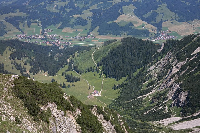 Image by Hans Braxmeier from Pixabay