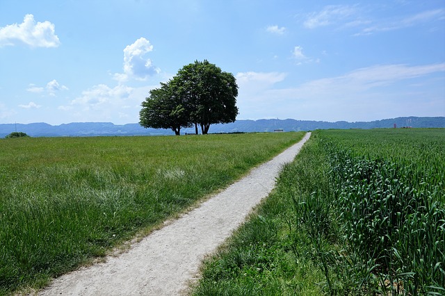 Image by photosforyou from Pixabay