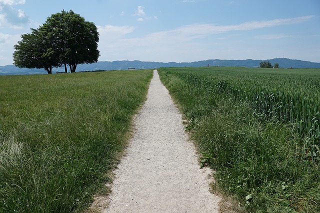 Image by photosforyou from Pixabay